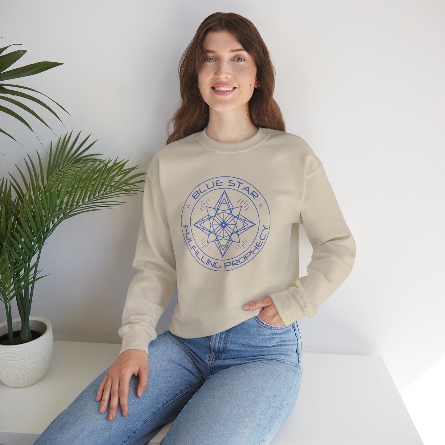 Blue Star Sweatshirt